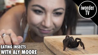 The Future Of Food And Eating Insects With Aly Moore