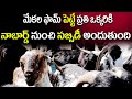 Nabard Subsidy Loans for Goats Farm Business || Earn High Profits With HighBreed GoatFarm | i3media