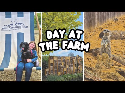 Jimmy's Farm & Wildlife Park Visit 🐾 Adorable Baby Ring-tailed Lemurs!