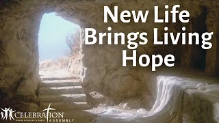 New Life Brings Living Hope (EASTER 2025) | Pastor Craig Ellefsen | Celebration Assembly