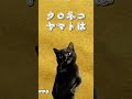 クロネコヤマトは...県内、安い🎵