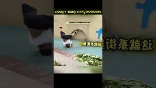 Today's funny moments #trend #reelsfbシ #babyshorts #funnybaby #viralreels  #cute #viral #tiktokviral