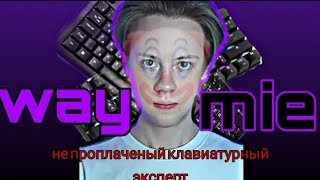 ВЕЙМИ САМЫЙ НЕ ПРОДАЖНЫЙ ОБЗОРЩИК