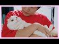 I hugged the baby cat by force (Xuni,Yuni and Soni's Reaction)