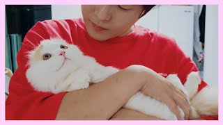 I hugged the baby cat by force (Xuni,Yuni and Soni's Reaction)