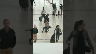 TSA officer abuses search dog at Detroit Airport #TSA #animals #abuse