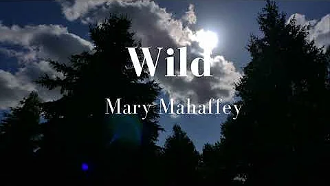 Wild Official Lyric Video