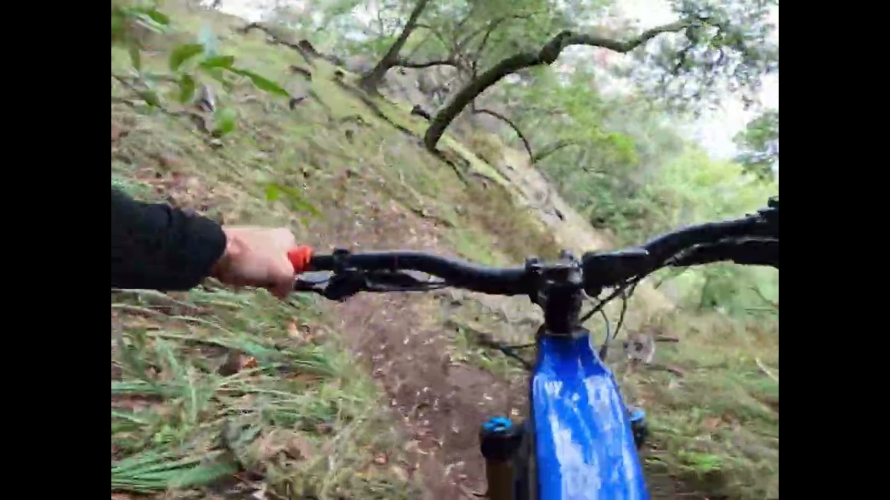 Petting the kitty. Lap on Big Cat trail, Marin