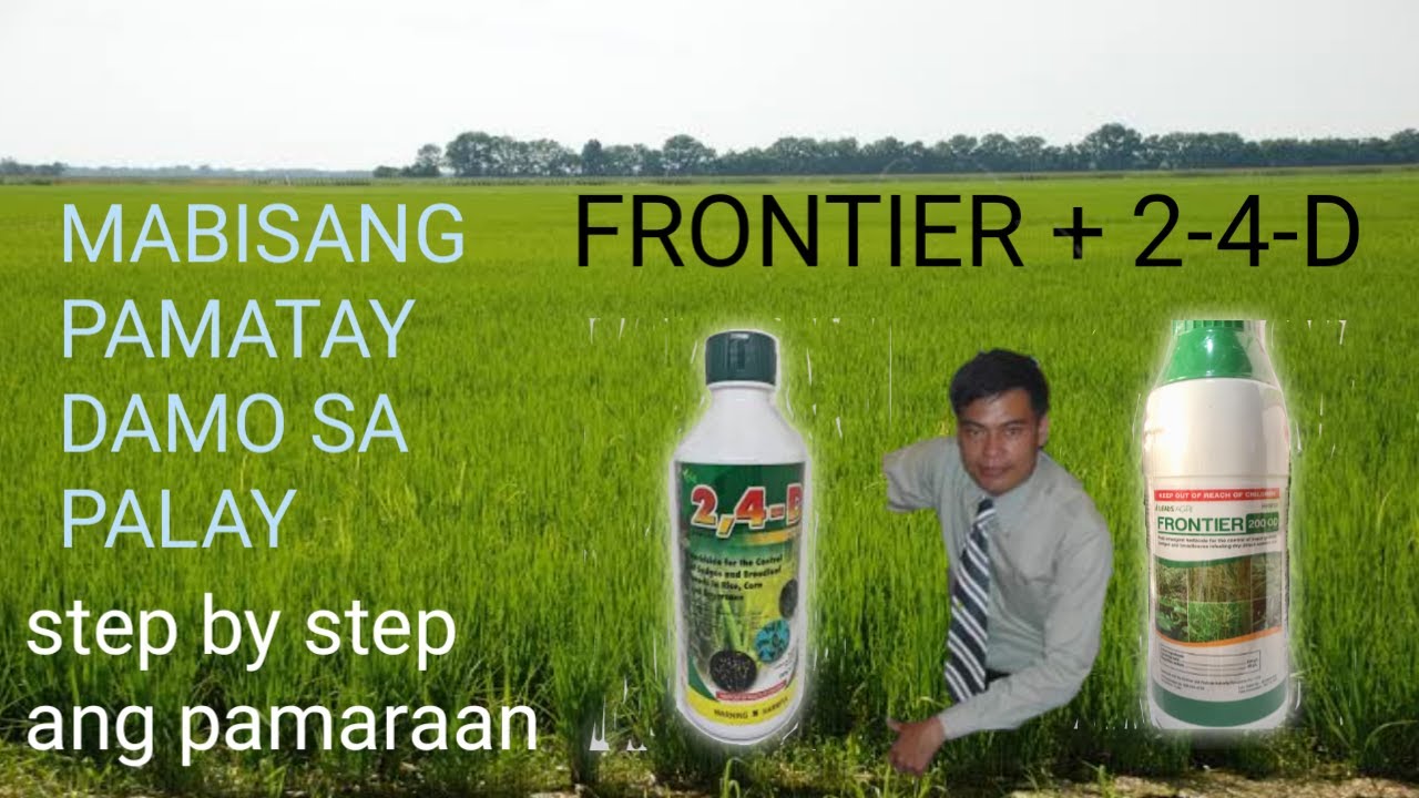 mabisang-pamatay-damo-sa-palayan-herbicide-youtube
