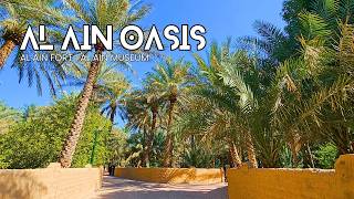 Things to Do in Al Ain Abu Dhabi | Al Ain Oasis | Al Ain Fort | Al Ain Museum | Abu Dhabi Itinerary