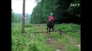 Horse MEP (Closed) Parts due 1/15