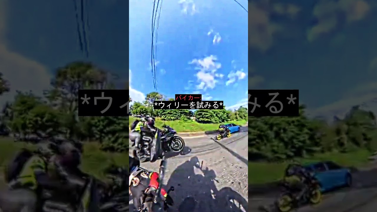 道路でウィリーをした男、自業自得な結末に…