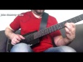 Steinberger Spirit XT-25 | Frozen Winds | Perfomance By John Domovoy | EVGENii DOMOVOY Channel