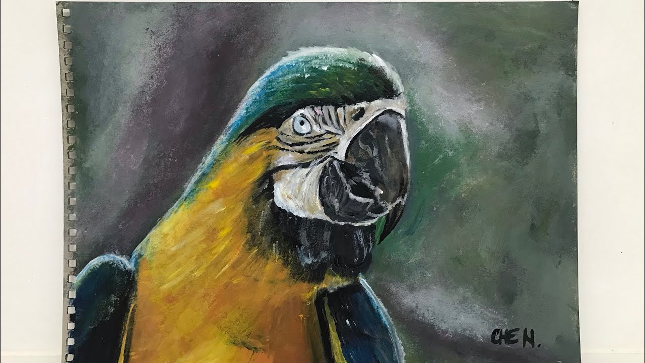Beginner-Friendly Parrot Painting Tutorial by Cheryl Navarro
