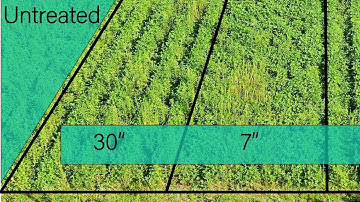 Row Spacing as a Weed Management Tool