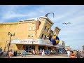 Atlantic city whores Tropicana Hotel - YouTube
