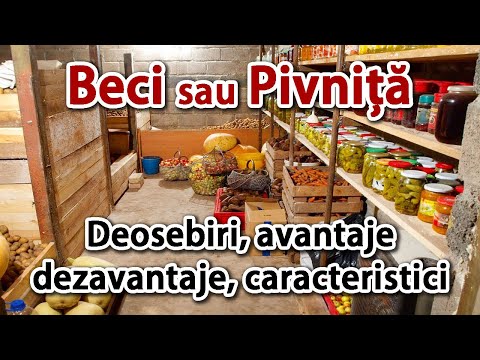 Beci sau pivnita – deosebiri, avantaje, dezavantaje, caracteristici