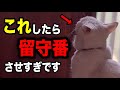 留守番させすぎた猫だけがする行動5選を獣医師が解説します
