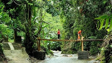 Restore the bridge: How to build a bridge over a stream with planks great idea - Chúc Tòn Bình