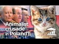 Poland: Could ANIMAL rights BRING DOWN the GOVERNMENT? - VisualPolitik EN