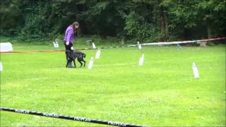 Quby Ro Ii Kd Duplica 06102013