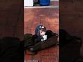 I CAUGHT GUGUGAGA PENGUIN WITH MY BAG #gugugagapenguin #gugugaga