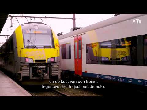 Video: Wit Pendelaar