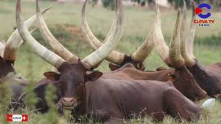 Umusizi Joselyne Asobanuye Imvano Yunganzo Yamazina Yinka Turumirwa