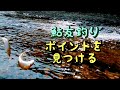 鮎釣り 釣れるポイントの見つけ方【実釣解説】