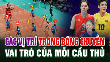 Các vị trí trong bóng chuyền và vai trò của mỗi cầu thủ trong một trận đấu như thế nào?