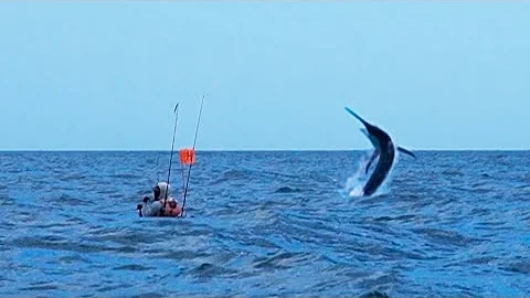 Offshore Kayak Fishing: 500-pound MARLIN & More {C...