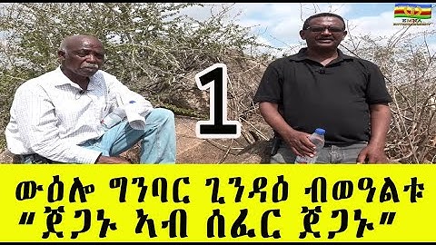 EMNA : ውዕሎ ግንባር ጊንዳዕ ብወዓልቱ || Remembering Battle of Gindae || Eritrean media net Asmera