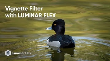 Vignette Filter with Luminar Flex