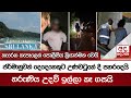 ජර්මානුවන්|sin