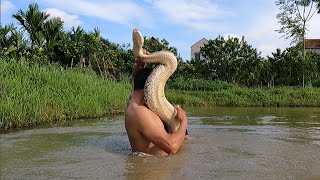 Two brave men fight with a giant fire-breathing python 600kg that attacks people - anacoda.