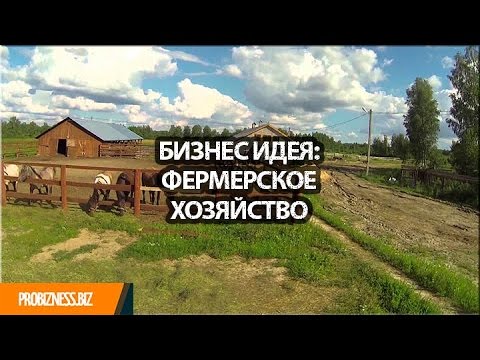 Бизнес идея организация фермерского хозяйства