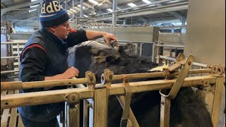 Modern Dairy Farming | Coopon Carse Farm