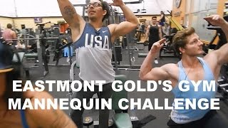 Eastmont Gold's Gym Mannequin Challenge