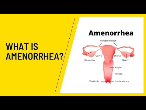 Video: Mutasi Faktor XII, Angioedema Bawaan Yang Bergantung Pada Estrogen, Dan Kondisi Terkait