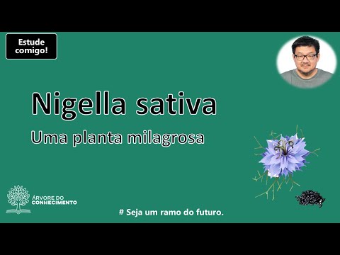 Vídeo: Para que servem as sementes de nigella?