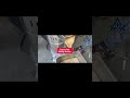 Paste Making Machine #love #food #cricket #machine #viralvideo #food #india #you #cr7 #leo #big #ind