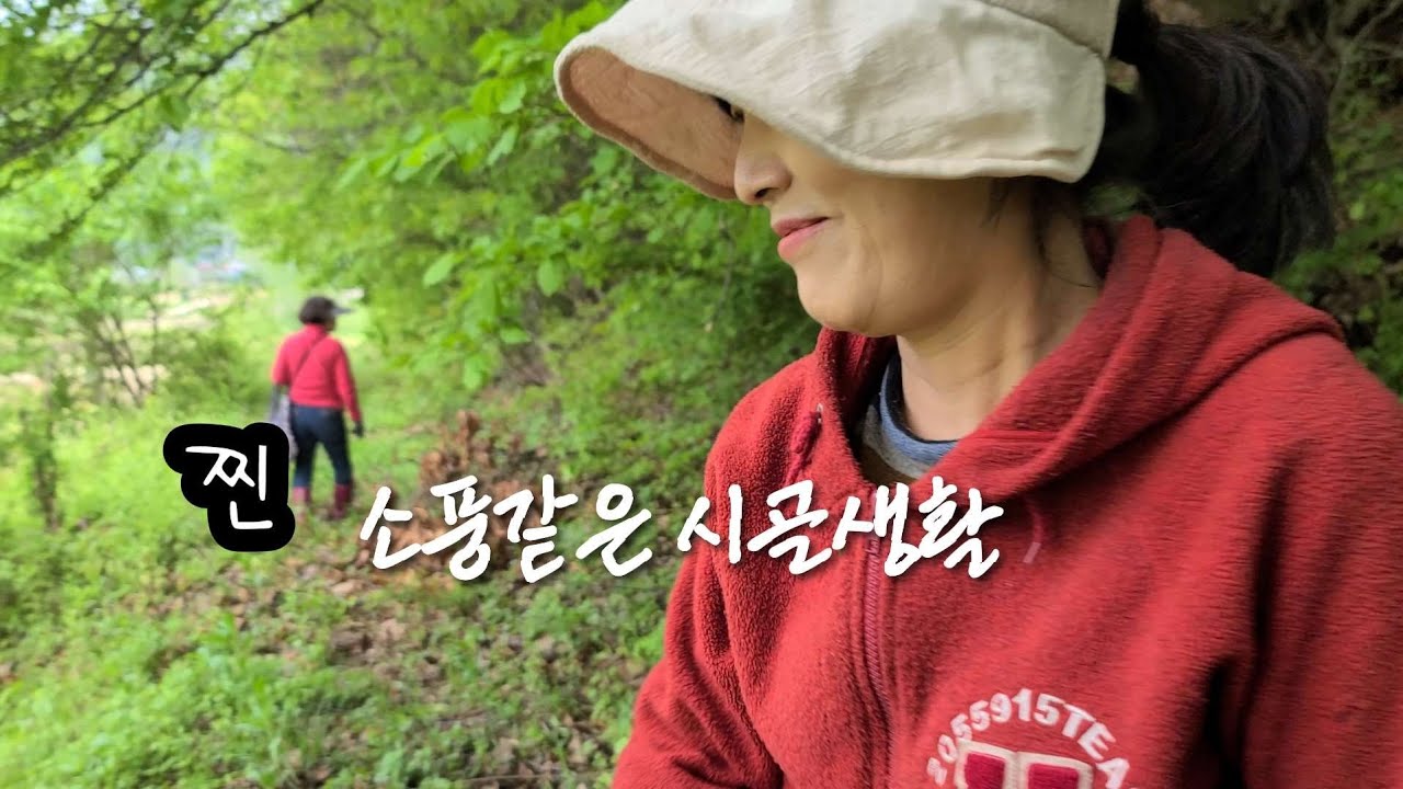 딸들 눈과 귀가 즐거운 산골봄날 갓딴 산나물과 텃밭야채로 싸먹는 꿀맛고기 Korean daughters' country life like a picnic