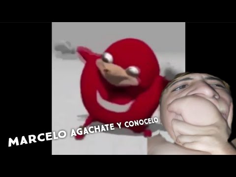 marcelo-agachate-y-conocelo...-meme-xd