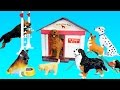 Toy dogs school playset for kids  learn animal names for kids