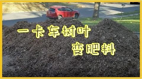 渔耕笔记种植床秋冬养护如何做好冬季小菜园养地增肥mp3