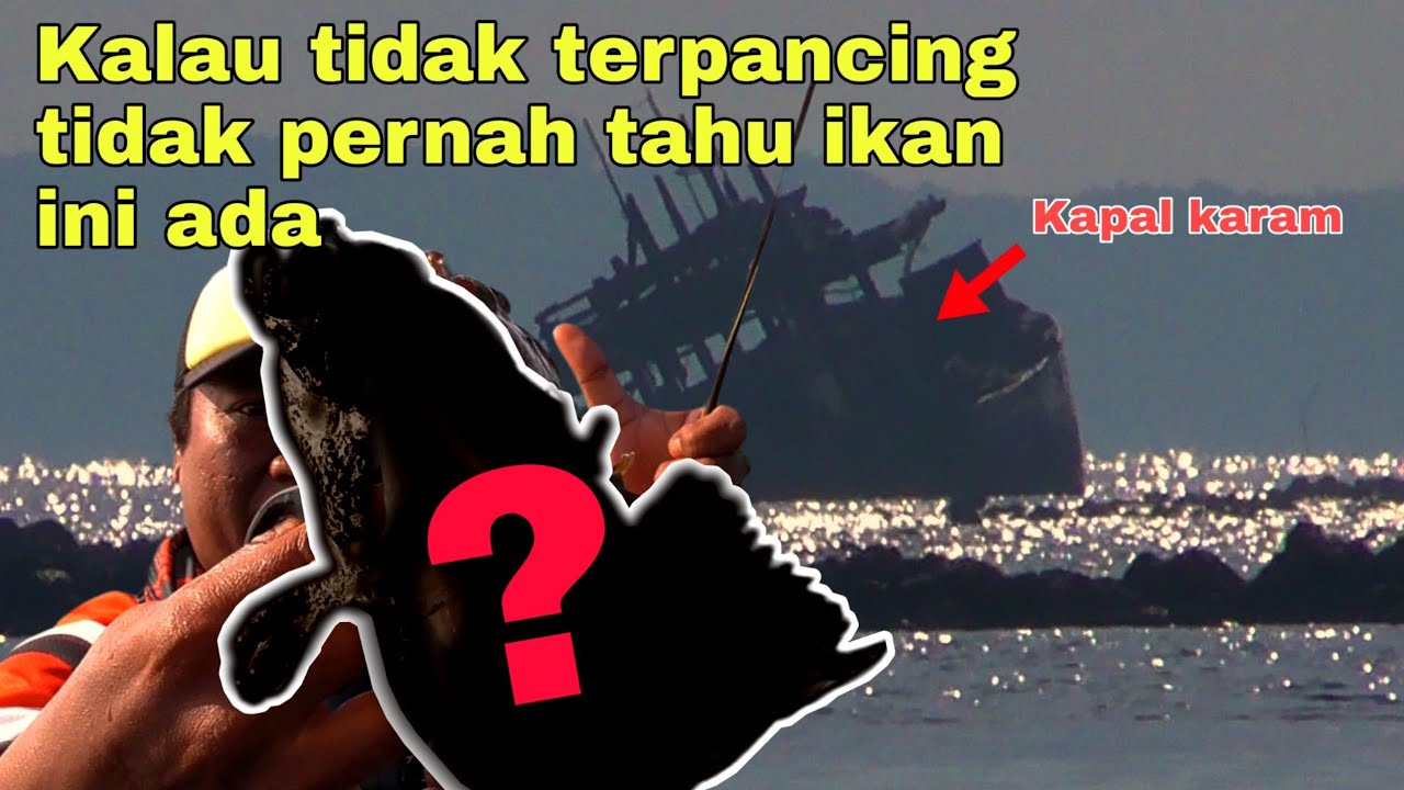 Ini Dia !! Spot Mancing Pantai Pondok Bali || Yang Ke tiga titik spot terbaik