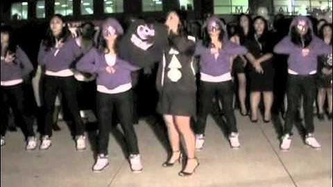 USF aKDPhi - Theta Class Probate Fall 2010 - Part 5 of 5