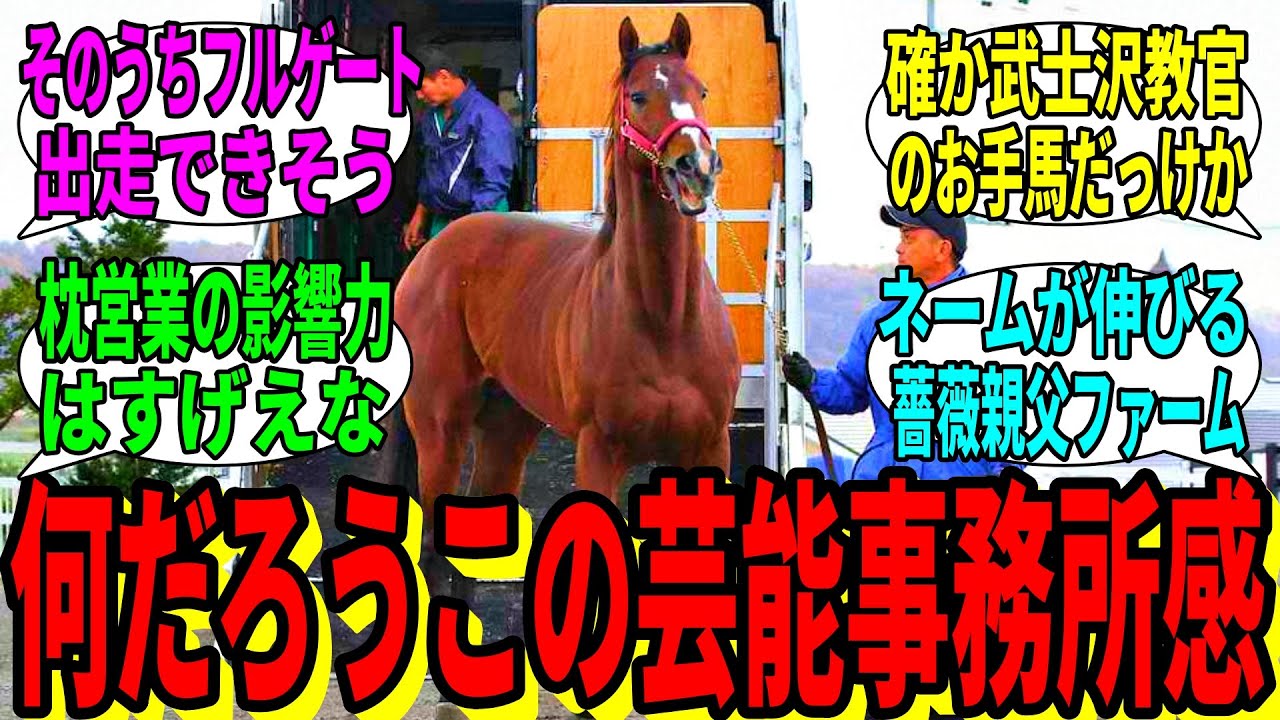 【競馬の反応集】「薔薇親父ファームに新しい子が仲間入り」に対する視聴者の反応集