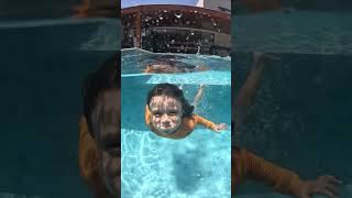 O mergulho do peixe Nono #shortsvideoviral #familia #piscina