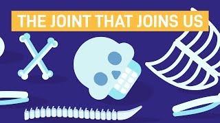 Your Shoulder, Knee and Toe Joints